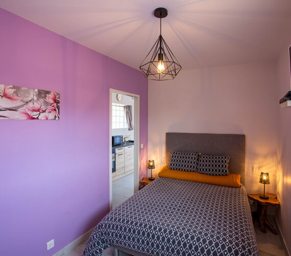 Chambre Mauve Rez-de-chaussée